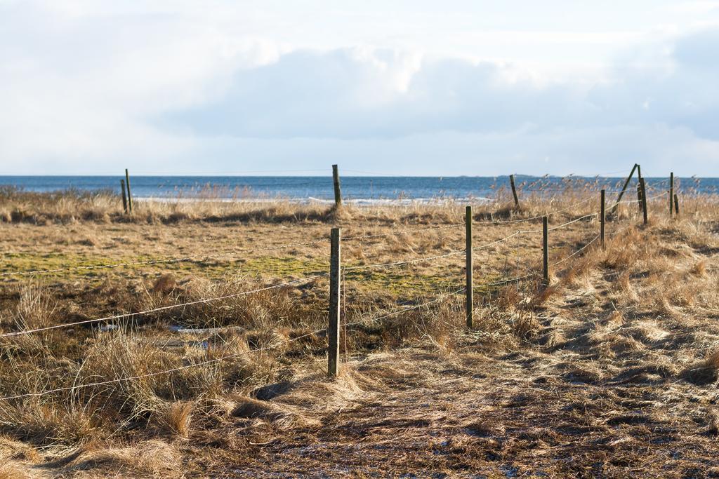 Hallands Kustvandrarhem Falkenberg - B&B Esterno foto